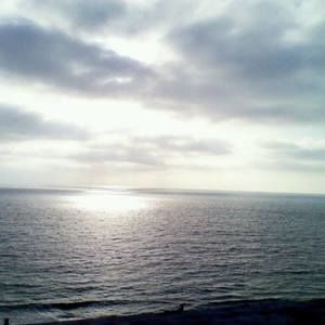 Meet your Posher, Antonio